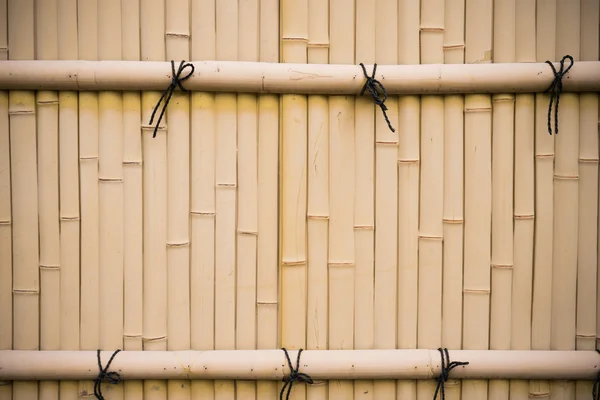 Bamboo trunk background. — Stock Photo, Image