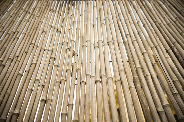 Bamboo trunk background. — Stock Photo, Image
