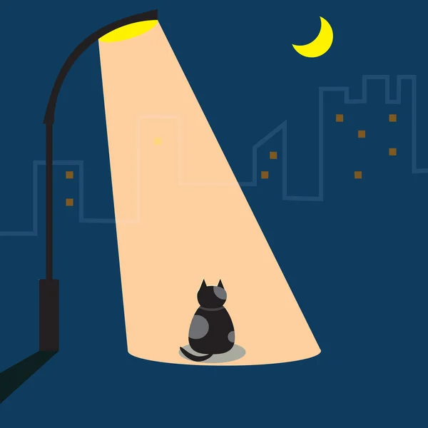 Kočka čeká pod pouliční lampy — Stockový vektor