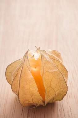 Cape bektaşi üzümü