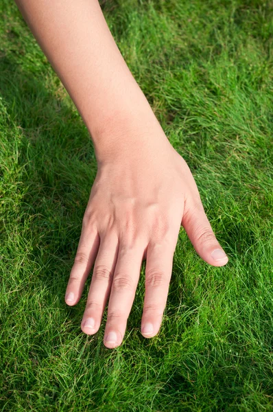 Woman hand over green grass — Stock Photo, Image