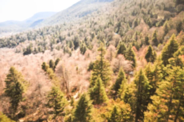 Berg med tallskog. — Stockfoto