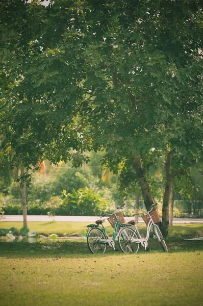 Due biciclette in parco — Foto Stock