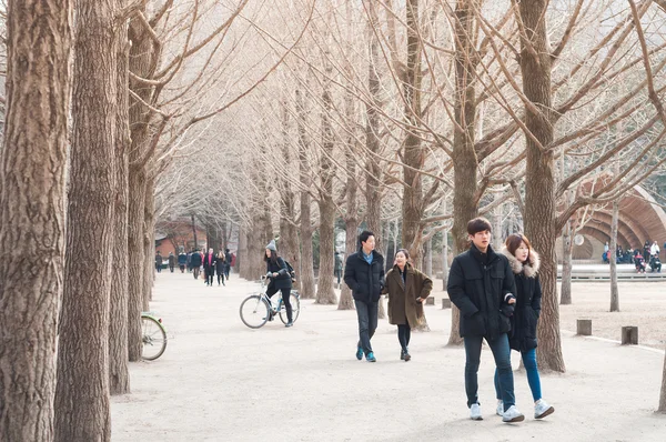 Tourists enjoy tree-lined trails of Nami Island (Namiseom) — Stock Photo, Image