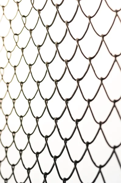 Wired fence — Stock Photo, Image