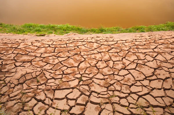 Kurak — Stok fotoğraf