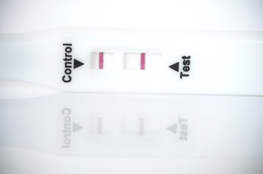Pregnancy tester. clipart