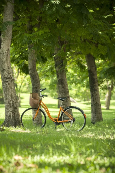 Ретро-велосипед в парке — стоковое фото