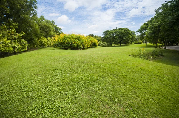 Yeşil Yaz park Bahçe.