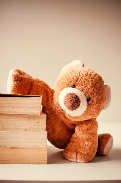 Orso con libri — Foto Stock