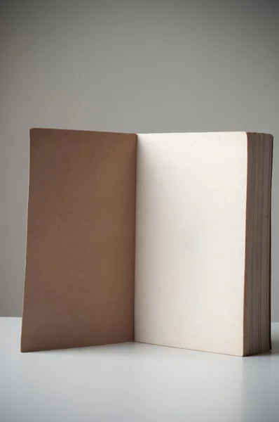 Leeres altes Buch aufgeschlagen. — Stockfoto