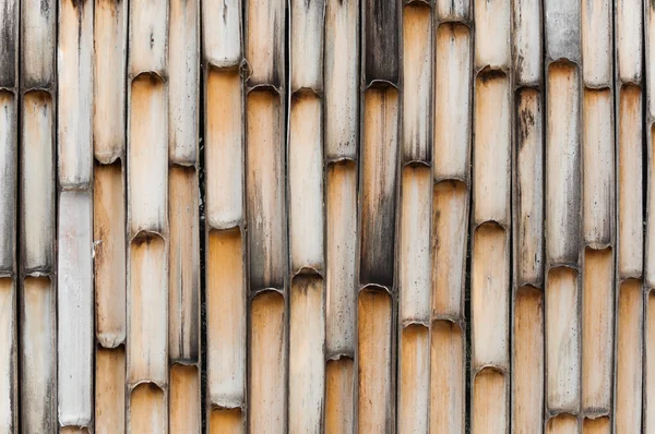 Fondo del tronco de bambú . — Foto de Stock