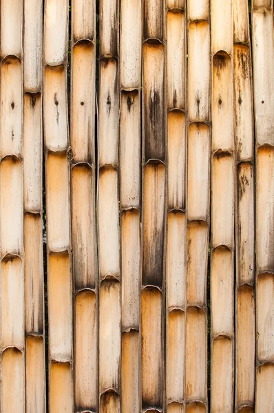 Fondo del tronco de bambú . —  Fotos de Stock