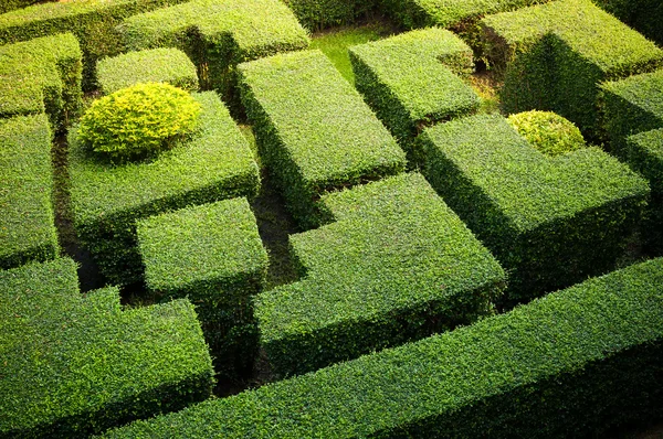 Labyrinth-Garten — Stockfoto