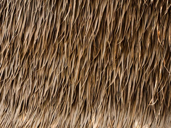 Thatch roof background — Stock Photo, Image