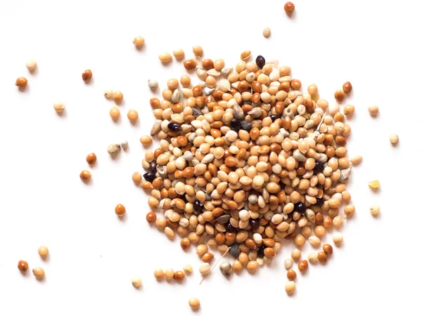 Купа насіння пшениці — стокове фото