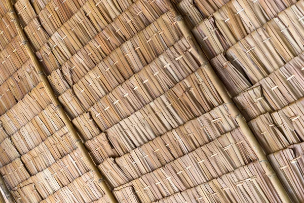 Thatch roof background — Stock Photo, Image