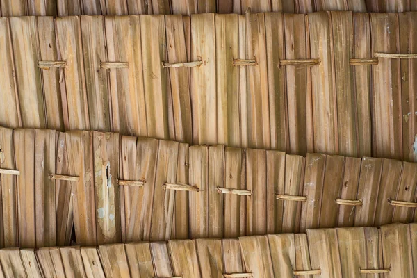 Thatch roof background — Stock Photo, Image