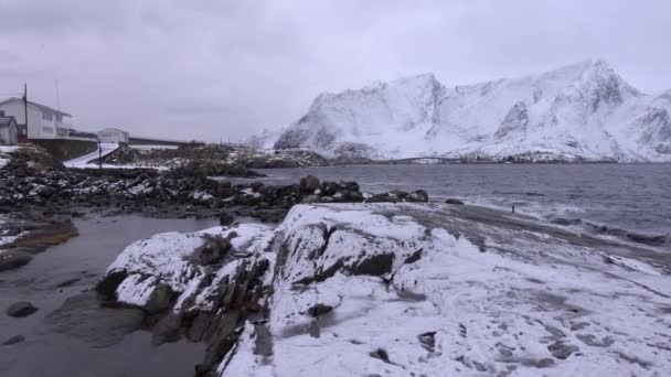 ノルウェーのロフトテンにあるビーチと雪の山の素晴らしい景色。冬景色. — ストック動画