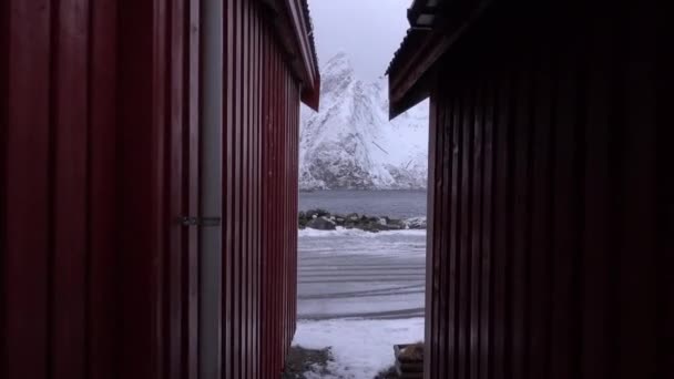Khas desa menawan pondok merah bersalju di Lofoten, Norwegia — Stok Video