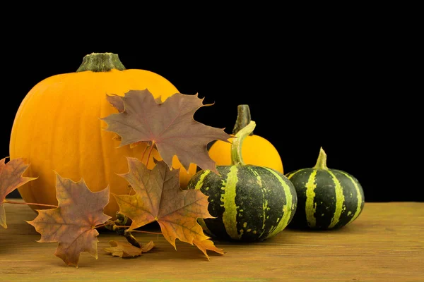 Automne Automne Nature Morte Avec Citrouille Orange Colorée Courge Décorée — Photo