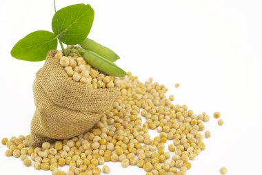 Kurumuş bezelyelerle dolu küçük bir keseli torba yeşil yapraklı beyaz bir zemin üzerine dökülüyor.