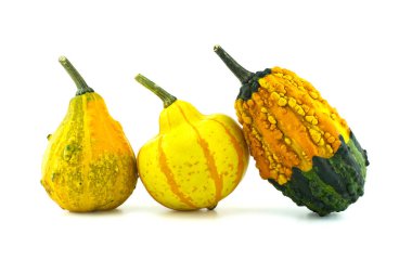 Beyaz arkaplanda izole edilmiş renkli balkabakları ve kabakları