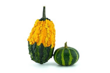 Beyaz arkaplanda izole edilmiş renkli balkabakları ve kabakları