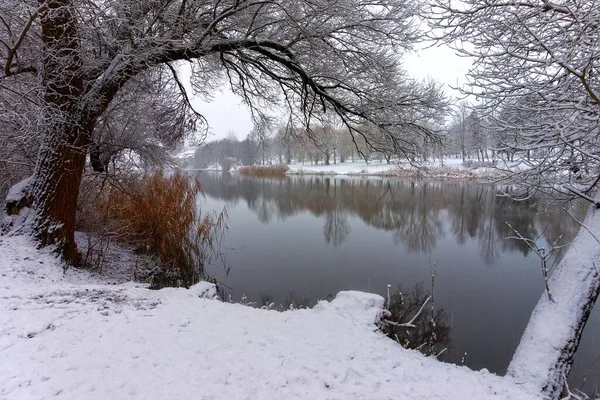 Snowy Winter Landscape Tranquil River Lake Reflecting Surrounding Trees Laden — Stock Photo, Image