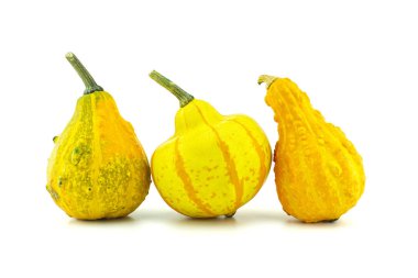 Beyaz arkaplanda izole edilmiş renkli balkabakları ve kabakları