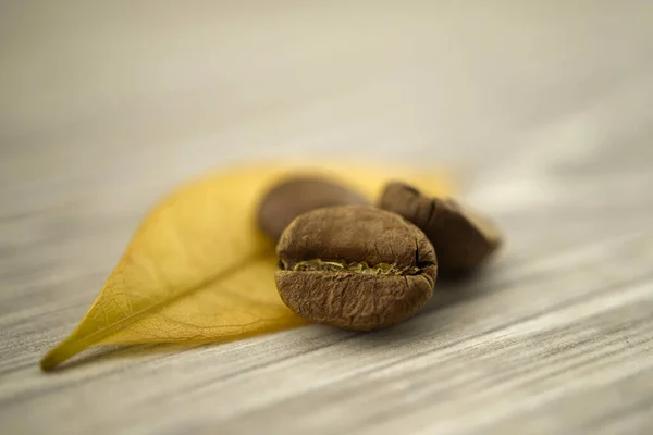 Ψητά Φασόλια Καφέ Και Κίτρινα Φύλλα Ξύλινο Φόντο Μακρο Φωτογραφία — Φωτογραφία Αρχείου