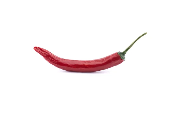 Fresh Red Chili Pepper Isolated White Background — Stock Photo, Image