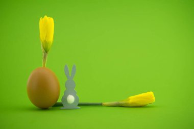 Yumurta kabuklarından büyüyen Narcissus çiçekleriyle yaratıcı Paskalya bayramı veya bahar arkaplanı ve paskalya tavşanı figürü, metin için bedava kopya alanı olan yeşil bir arkaplan üzerinde.