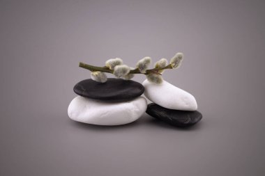 Siyah ve beyaz taşlar yığını ve katkin dalı, gri rengin sakin tonlarıyla yaşam ve metin için kopyalama alanı