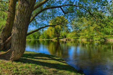 Taze yeşil bir bahar manzarası olan bir nehrin kıyısından bakıldığında berrak, güneşli bir mavi gökyüzünün altındaki durgun suyun yansımaları mevsimler kavramına dayanır.