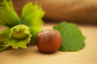 Taze, kabuksuz, yeşil kabuklu fındık, seçici bir odak noktasında, kopya alanı olan ahşap bir masada.