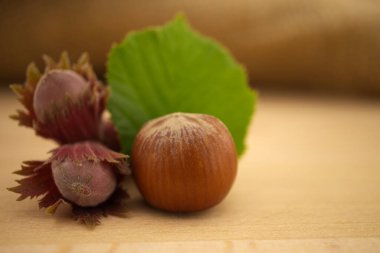 Taze, kabuksuz, yeşil kabuklu fındık, seçici bir odak noktasında, kopya alanı olan ahşap bir masada.