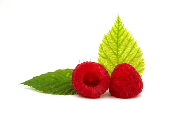 Rode Rijpe Frambozen Vruchten Verschillende Tinten Groene Bladeren Geïsoleerd Witte — Stockfoto