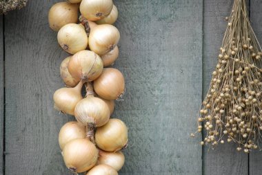 Yıpranmış ahşap bir duvarda asılı soğan ve kurumuş bitkilerin yer aldığı, doğal ve organik bir kompozisyon oluşturan, kırsal bir sahnenin yakın çekimi..