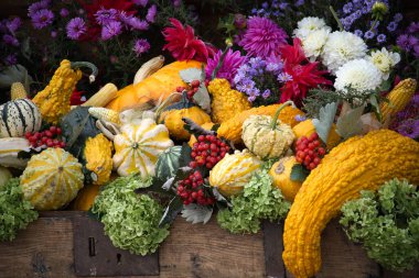 Kabak, balkabağı ve sonbahar çiçeklerinden oluşan canlı bir düzenleme, mevsimsel dekorlar için uygun bir sonbahar hasat sahnesinin sıcaklığını, rengini ve cömertliğini yakalayan ahşap bir sandığı doldurur..
