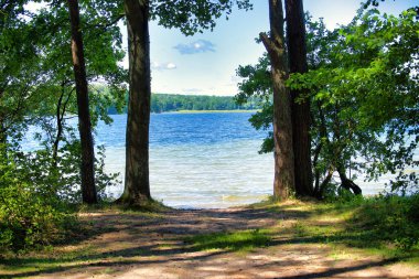 Sakin bir göl manzarası, uzun ağaçlar tarafından çerçevelenmiş ve mavi suları sakinleştiren kirli bir patikayı gösteriyor. Güneş ışığı yaprakların arasından süzülür, benekli gölgeler yaratır ve barışçıl açık hava keşiflerine davetiye çıkarır..