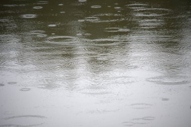 Sakin su yüzeyi, yağmur damlaları dairesel dalgalanmalar oluştururken sönük ışığı yansıtır. Yumuşak dokuları olan sakin, yağmurlu bir atmosfer doğa ve hava durumu için mükemmel..
