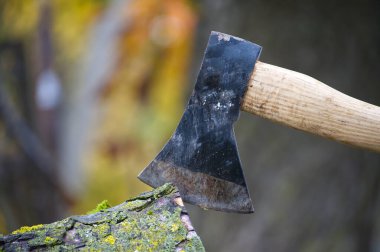 Sağlam bir siyah balta yosun kaplı bir kütüğe sokulur ve ahşap işçiliğine hazırdır. Sahne, arka planda yumuşak bokeh ile dış iş, rustik araçlar ve sonbahar atmosferini çeker.