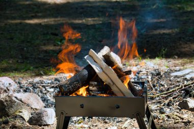 Gündüz kamp ateşi portatif metal bir ateş çukurunda alevler, odun yığınları, alevler ve dumanlar orman zemininden yükseliyor, sıcaklığı iletiyor, kamp titreşimleri, açık hava yemekleri ve kırsal maceralar yaşanıyor..