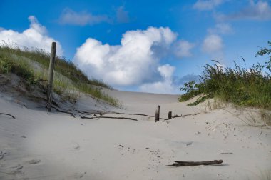 Güneşli kum tepeleri, rüzgarlı otlar, sürüklenen dallar ve açık mavi gökyüzü ve tüylü bulutlar altında, sakin, yalnızlık ve kıyı yaz atmosferini çağrıştıran, rüzgarlı ve yıpranmış direklerle çerçevelenmiş yumuşak bir sahil yolu oluşturur.