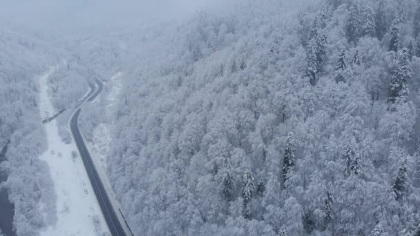 Niesamowite Zdjęcie Drona Powietrza Samochody Ciężarówki Jadą Drogą Pięknych Górach — Wideo stockowe