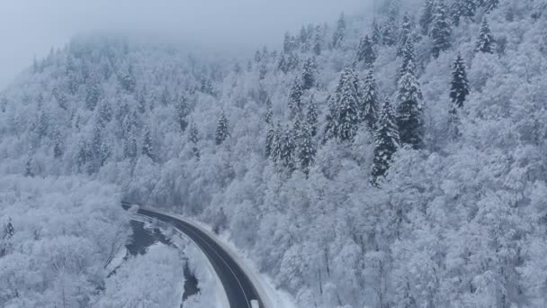 Csodálatos Légi Drón Lövés Buszok Hajtanak Mellett Gyönyörű Téli Hegyekben — Stock videók