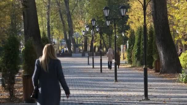 허물어지는 노란 나뭇잎 사이로 가을 도시 공원을 지나는 사람들 — 비디오
