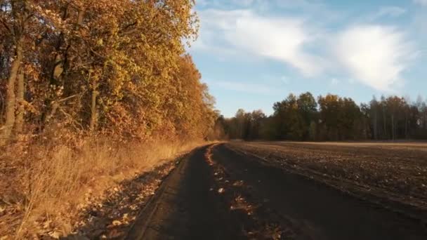 Kameran rör sig längs en grusväg mellan ett fält och en höstlig ekskog — Stockvideo