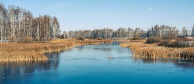 İlk don ince bir buz tabakasıyla kaplıydı. Küçük bir gölet.